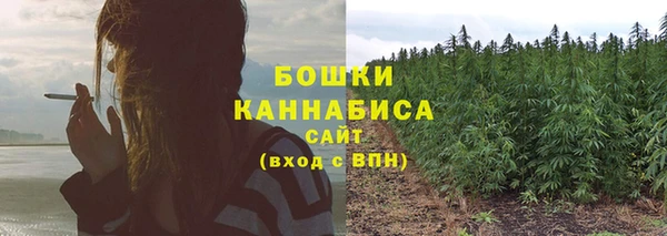 спайс Бердск